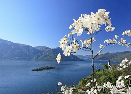 Panorama Lago Maggiore (c) Ticino Turismo Christof Sonderegger Kopie